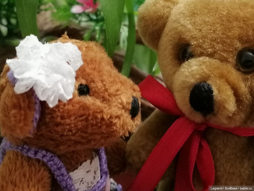 Из жизни моих мишек: Мишель, Гюлиз и белки