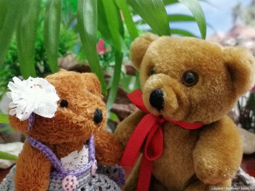 Из жизни моих мишек: Мишель, Гюлиз и белки