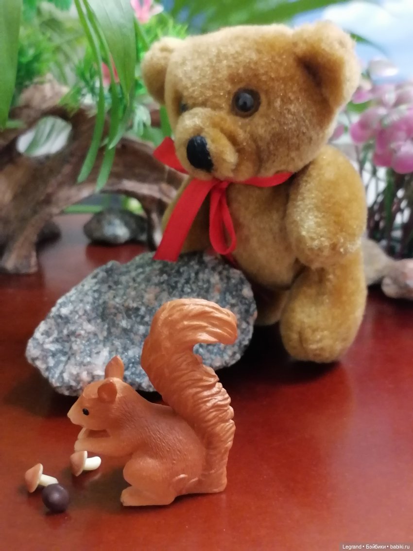 Из жизни моих мишек: Мишель, Гюлиз и белки