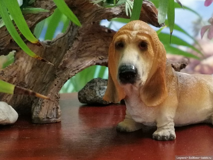 Лурения: собачки на прогулке в Верхнем саду