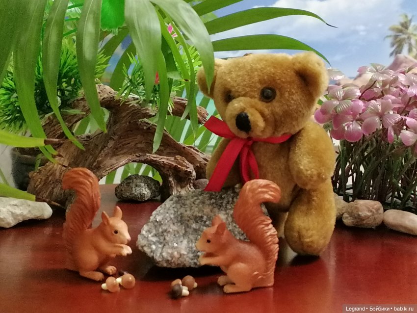 Из жизни моих мишек: Мишель, Гюлиз и белки