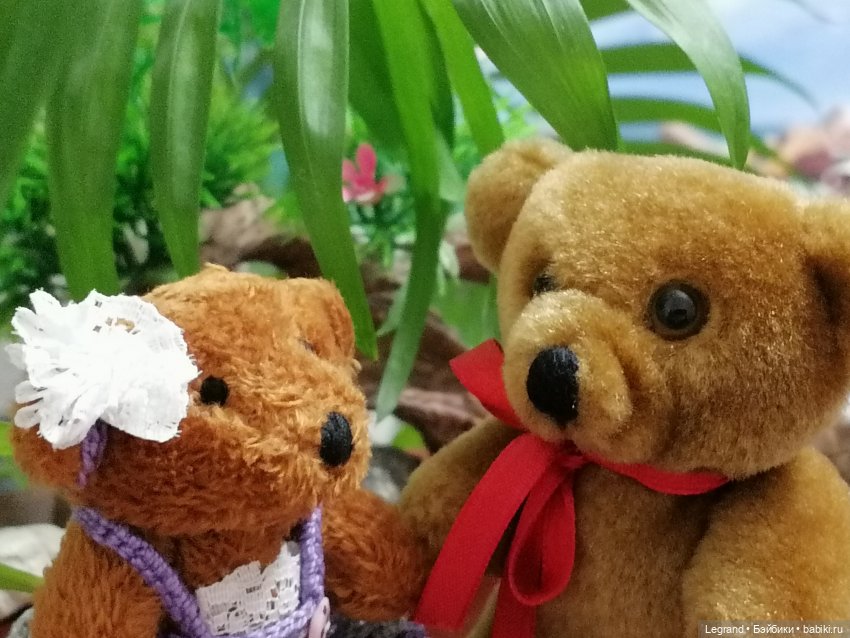 Из жизни моих мишек: Мишель, Гюлиз и белки (фото 10)