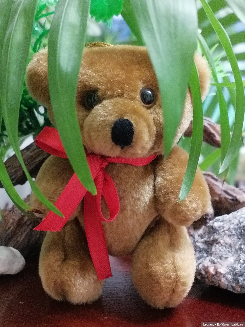 Из жизни моих мишек: Мишель, Гюлиз и белки