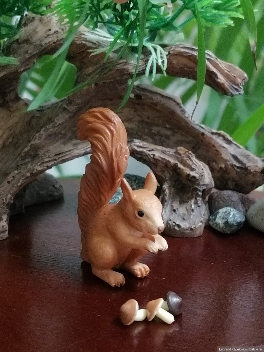 Из жизни моих мишек: Мишель, Гюлиз и белки