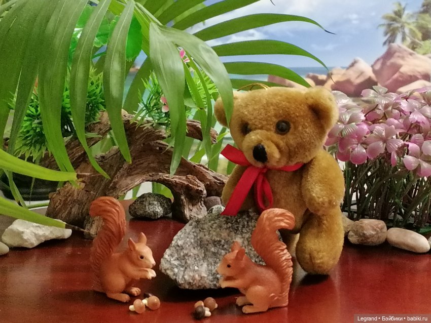 Из жизни моих мишек: Мишель, Гюлиз и белки