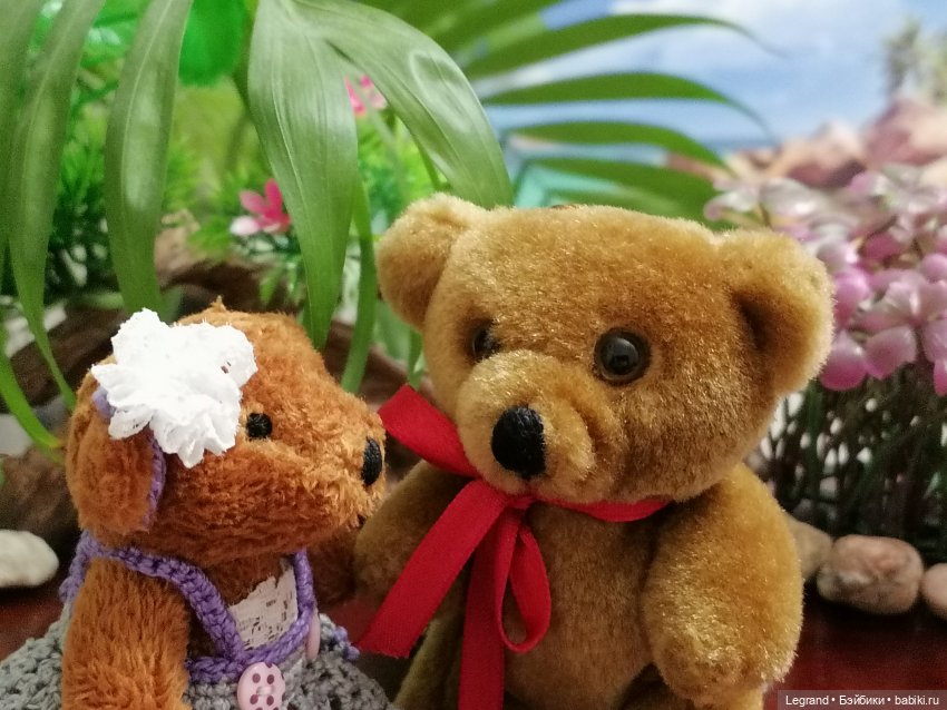 Из жизни моих мишек: Мишель, Гюлиз и белки