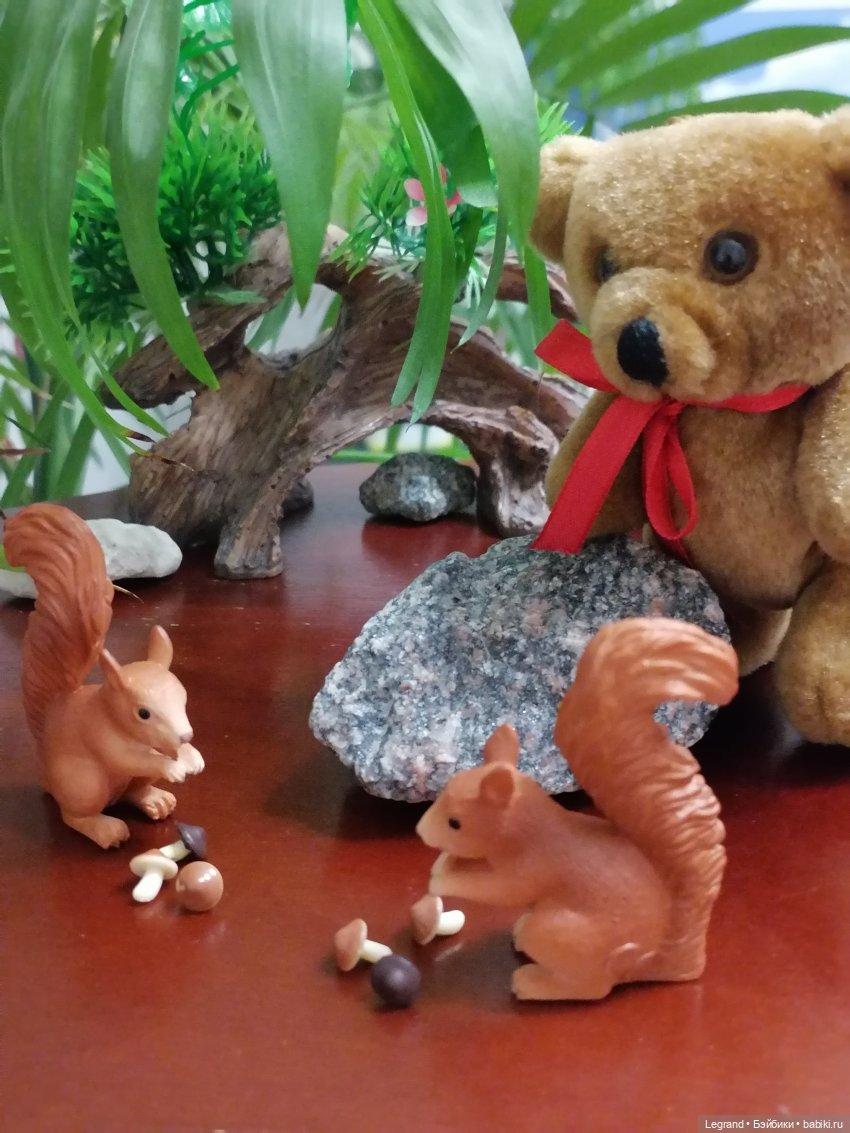 Из жизни моих мишек: Мишель, Гюлиз и белки