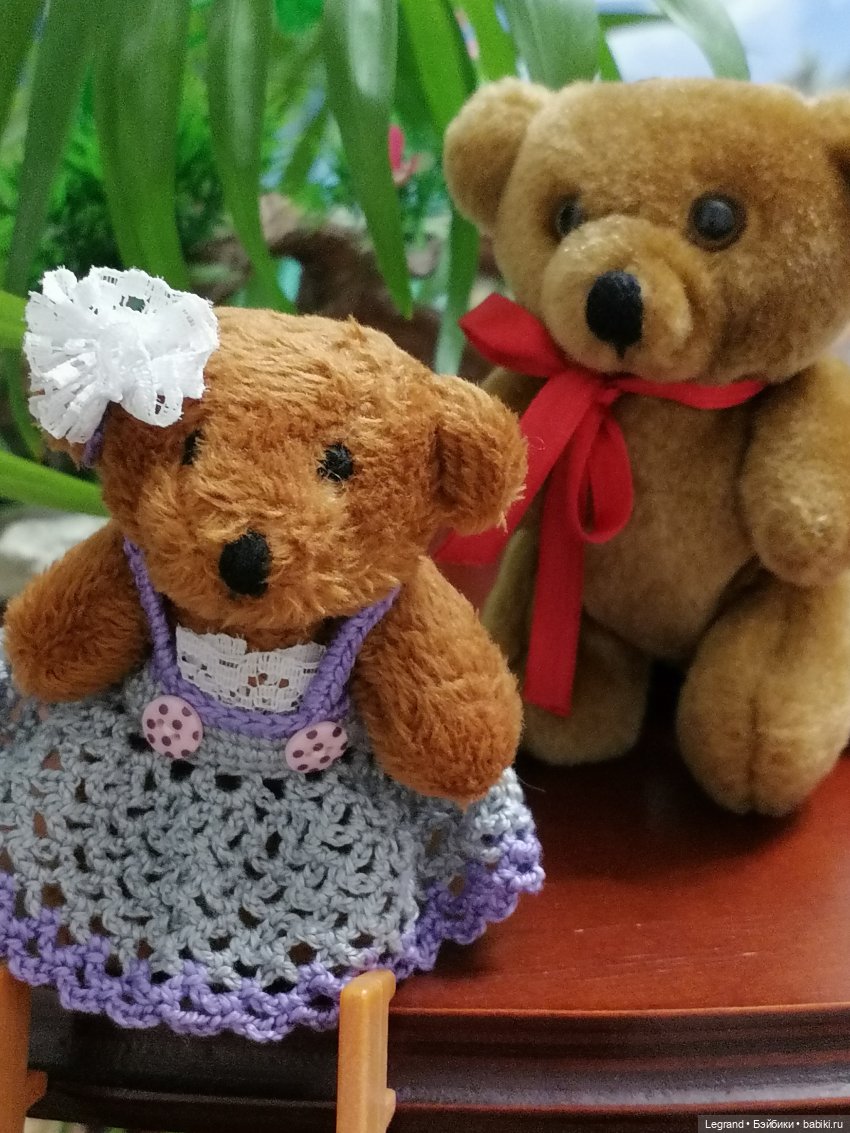 Из жизни моих мишек: Мишель, Гюлиз и белки (фото 6)