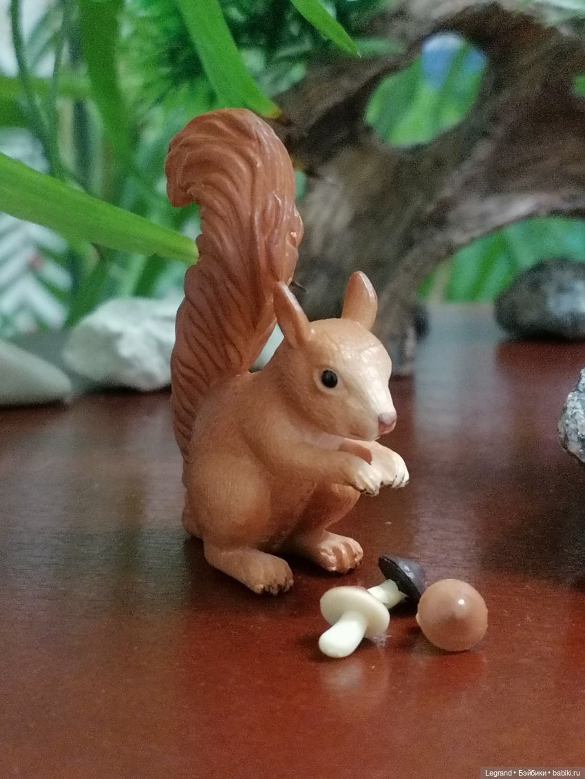 Из жизни моих мишек: Мишель, Гюлиз и белки