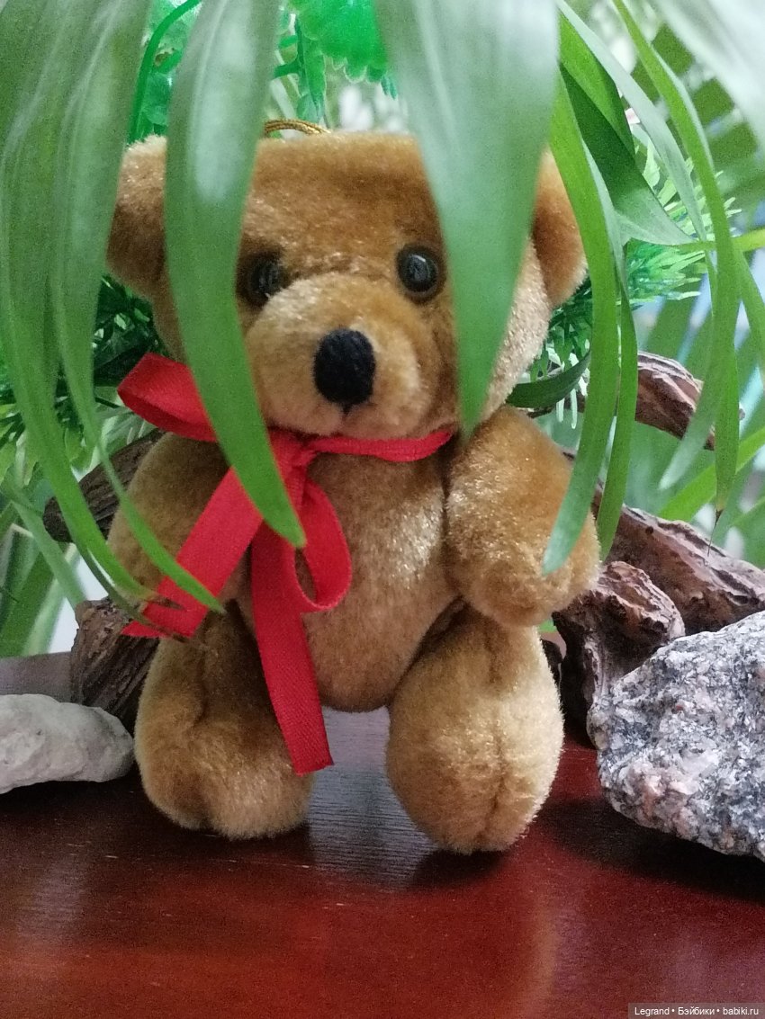 Из жизни моих мишек: Мишель, Гюлиз и белки