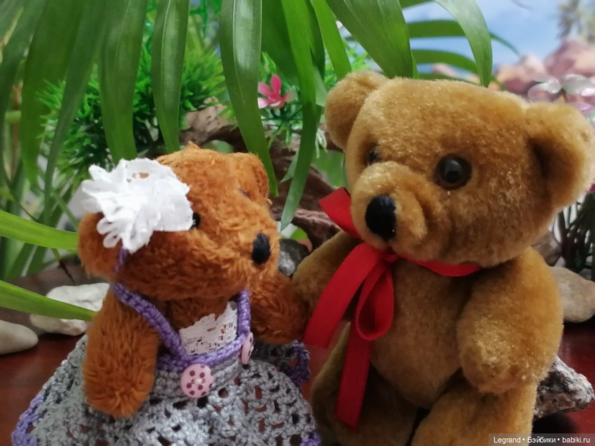 Из жизни моих мишек: Мишель, Гюлиз и белки (фото 8)