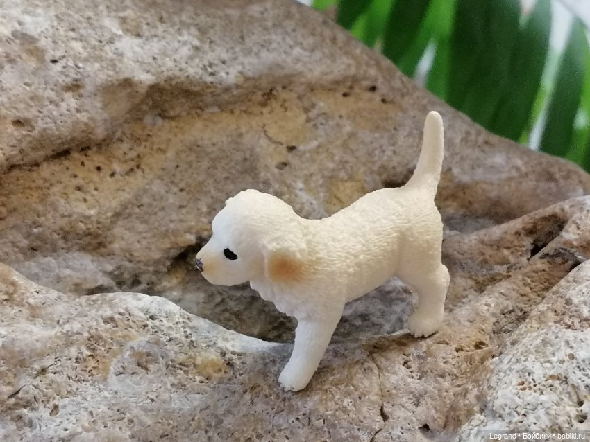 Лурения: собачки на прогулке в Верхнем саду