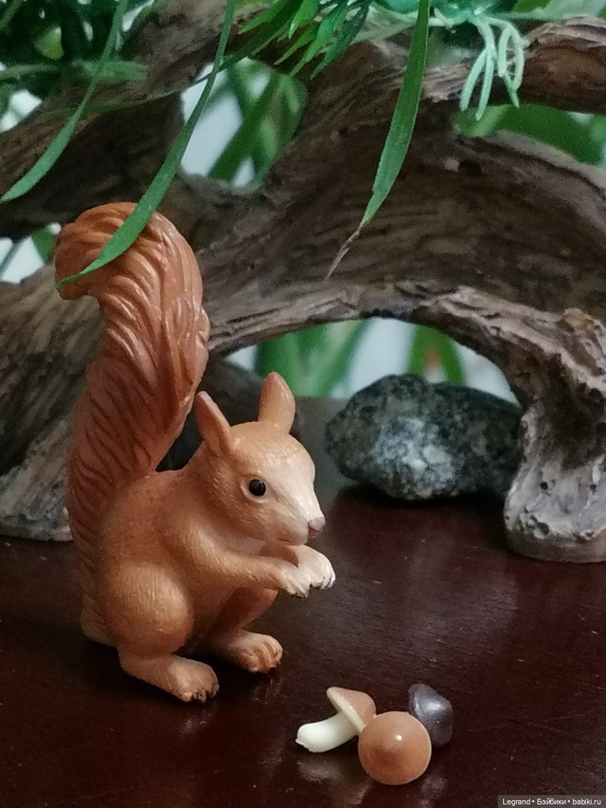 Из жизни моих мишек: Мишель, Гюлиз и белки