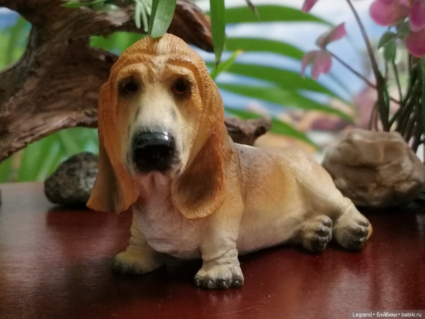 Лурения: собачки на прогулке в Верхнем саду