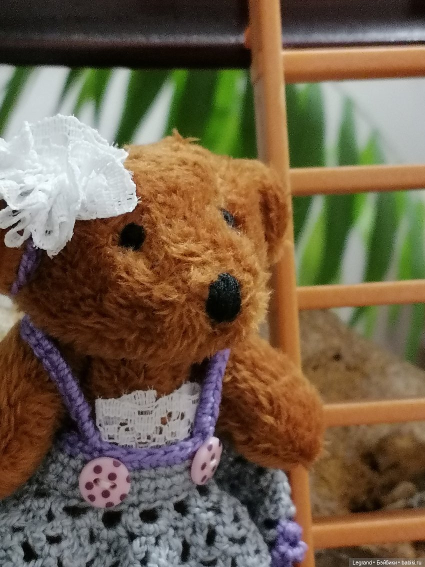 Из жизни моих мишек: Мишель, Гюлиз и белки (фото 5)