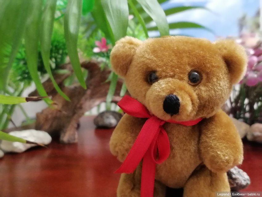 Из жизни моих мишек: Мишель, Гюлиз и белки