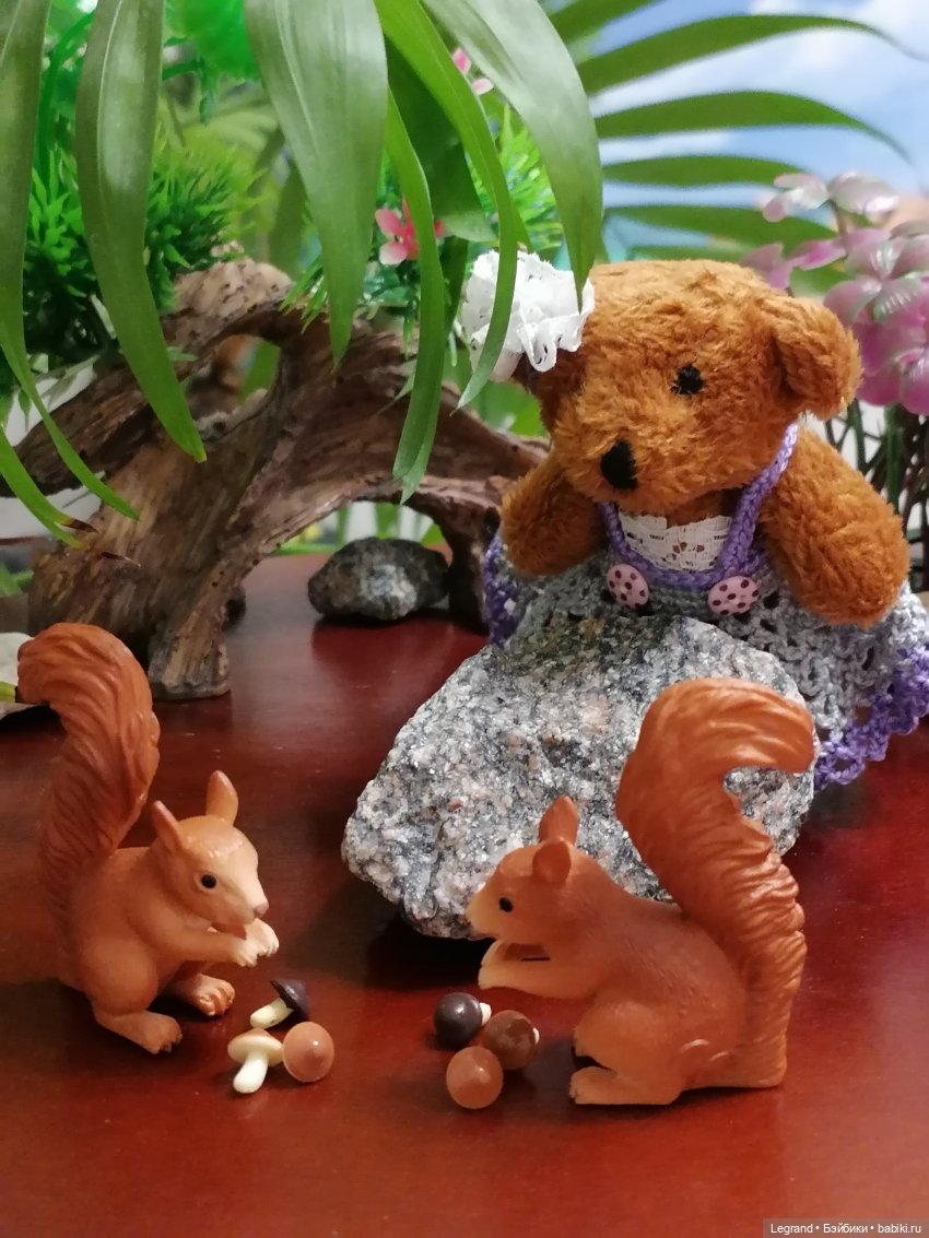 Из жизни моих мишек: Мишель, Гюлиз и белки