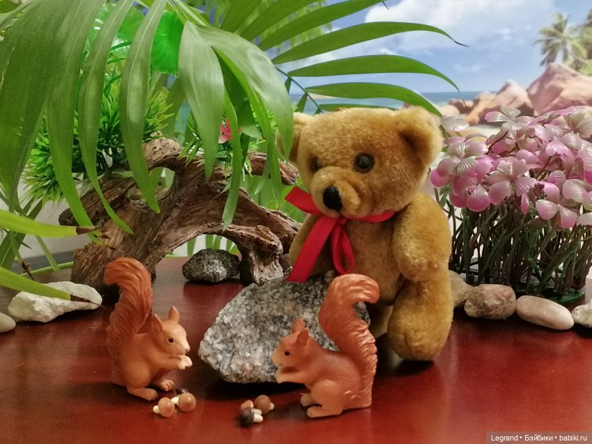 Из жизни моих мишек: Мишель, Гюлиз и белки