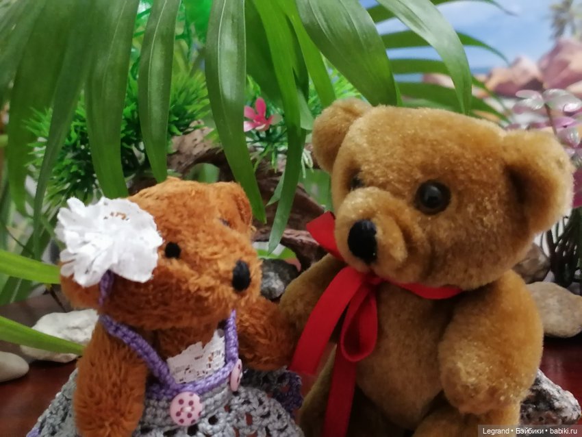 Из жизни моих мишек: Мишель, Гюлиз и белки (фото 9)