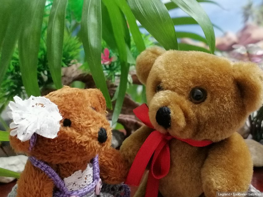 Из жизни моих мишек: Мишель, Гюлиз и белки