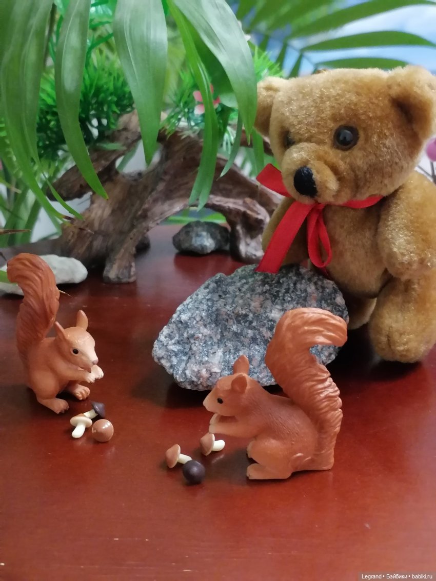 Из жизни моих мишек: Мишель, Гюлиз и белки