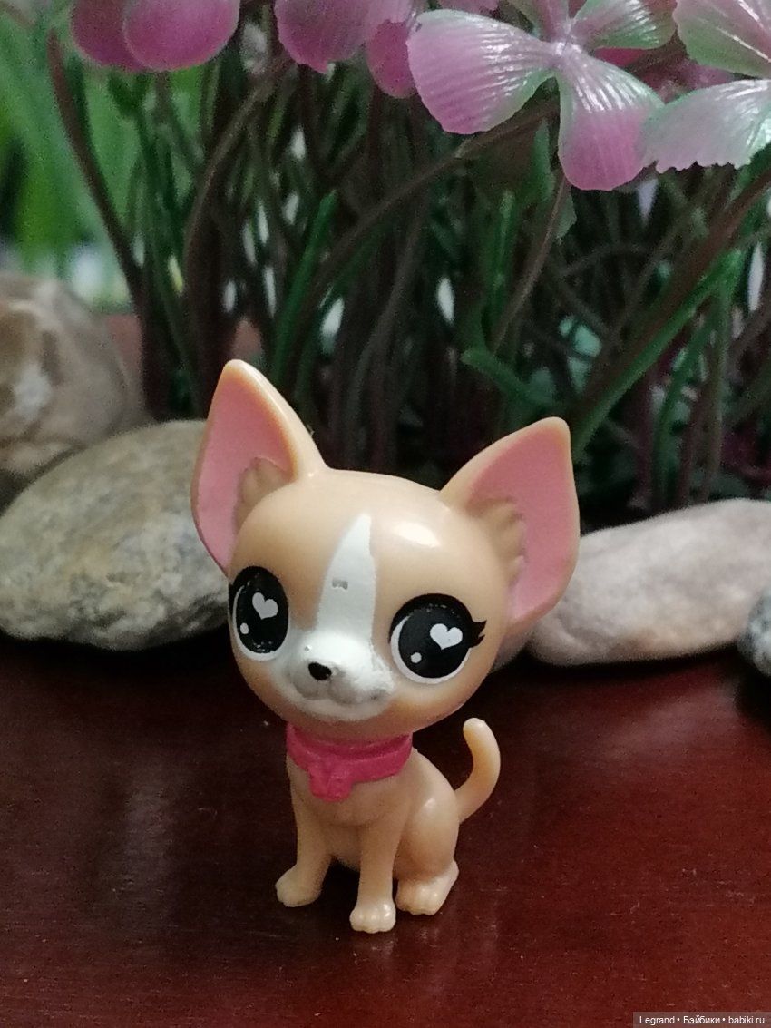 Лурения: собачки на прогулке в Верхнем саду