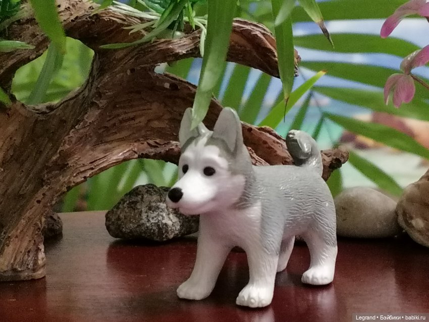 Лурения: собачки на прогулке в Верхнем саду