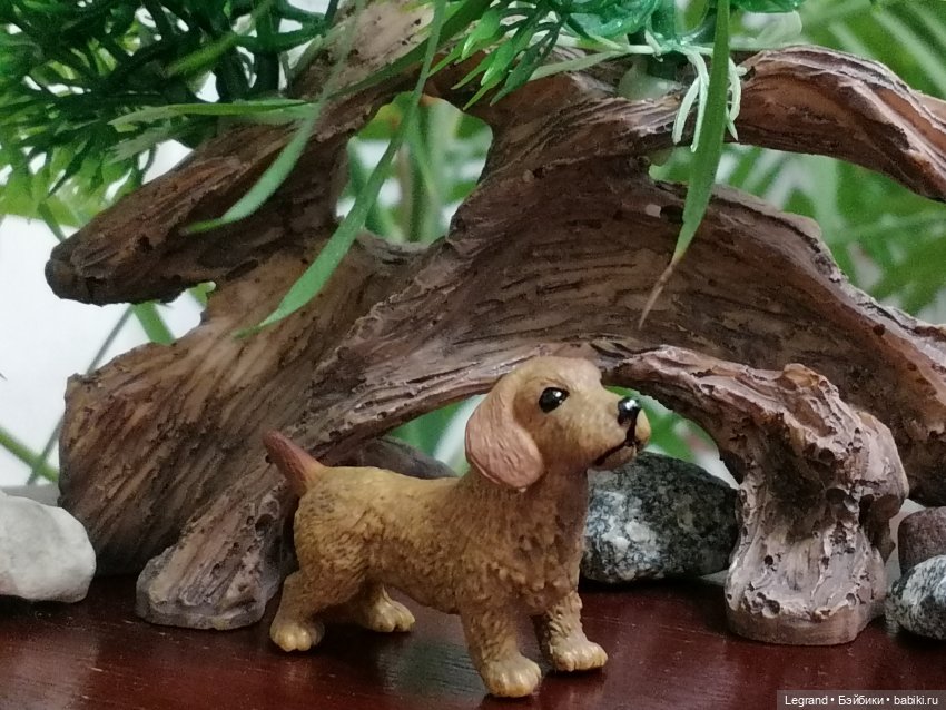 Лурения: собачки на прогулке в Верхнем саду