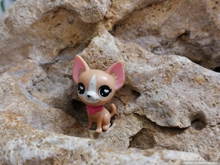 Лурения: собачки на прогулке в Верхнем саду