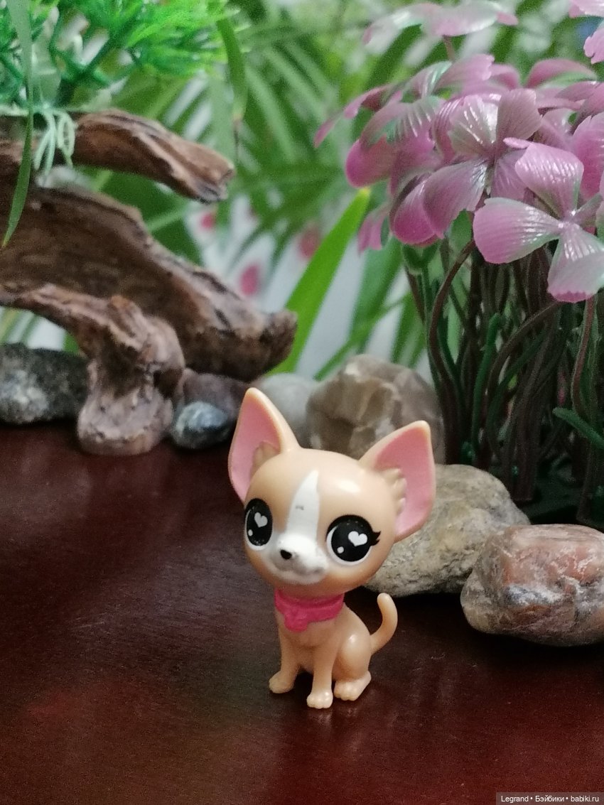 Лурения: собачки на прогулке в Верхнем саду