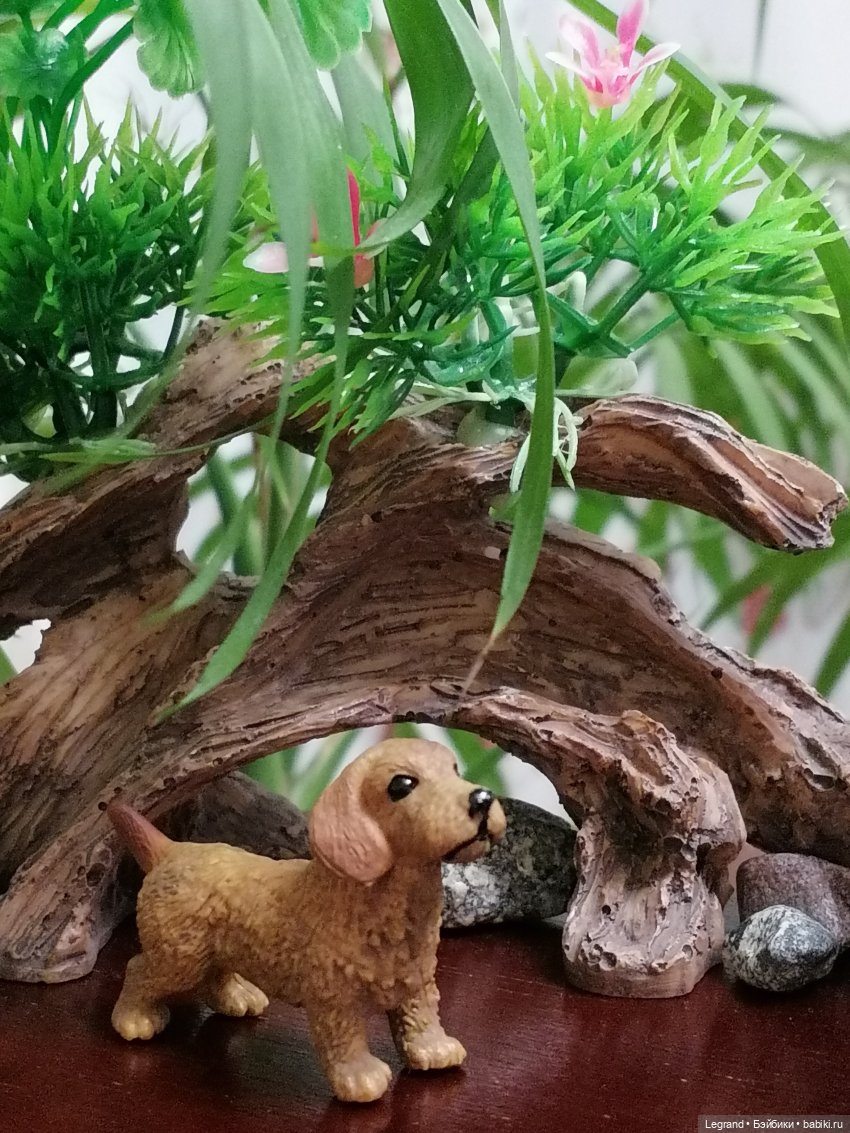 Лурения: собачки на прогулке в Верхнем саду