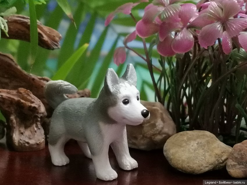 Лурения: собачки на прогулке в Верхнем саду