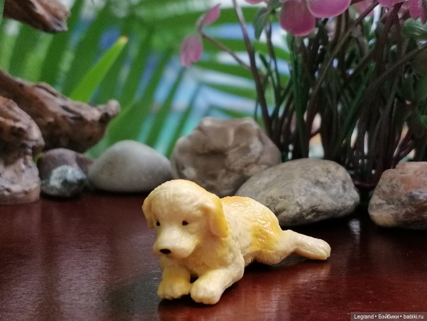 Лурения: Абрикос и Манго на прогулке🌴 (фото 9)