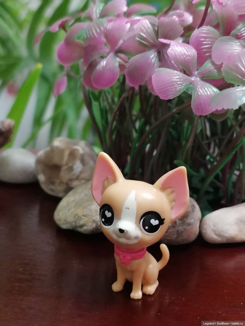 Лурения: собачки на прогулке в Верхнем саду