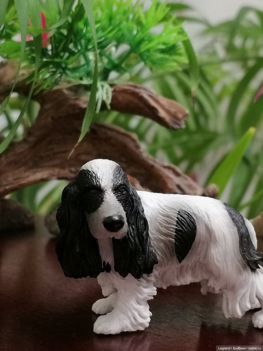 Лурения: собачки на прогулке в Верхнем саду