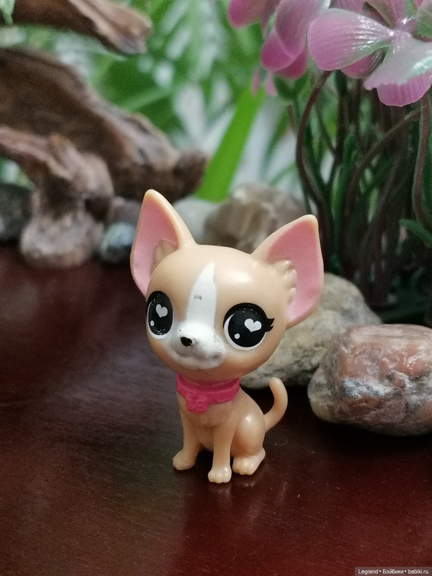 Лурения: собачки на прогулке в Верхнем саду