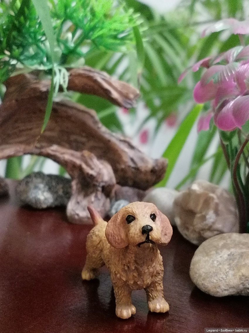 Лурения: собачки на прогулке в Верхнем саду