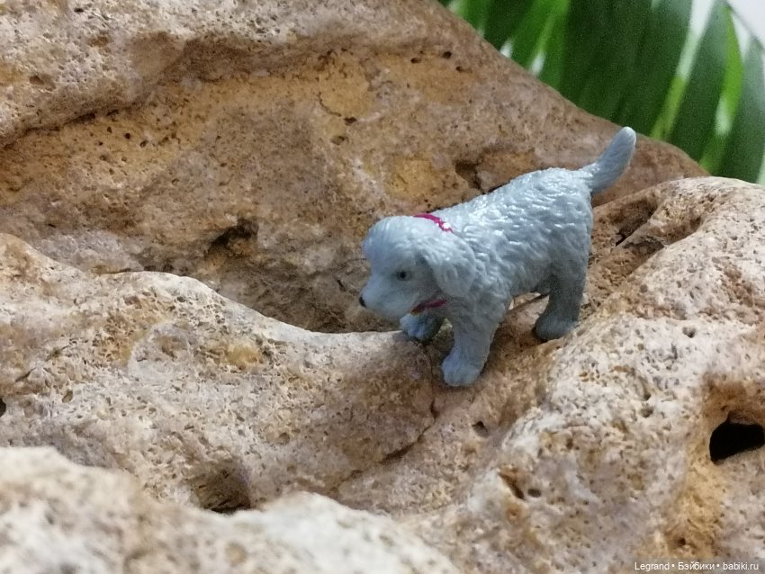 Лурения: собачки на прогулке в Верхнем саду