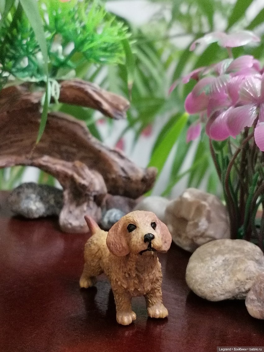 Лурения: собачки на прогулке в Верхнем саду