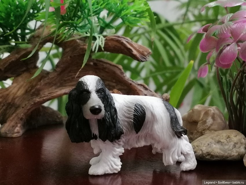 Лурения: собачки на прогулке в Верхнем саду