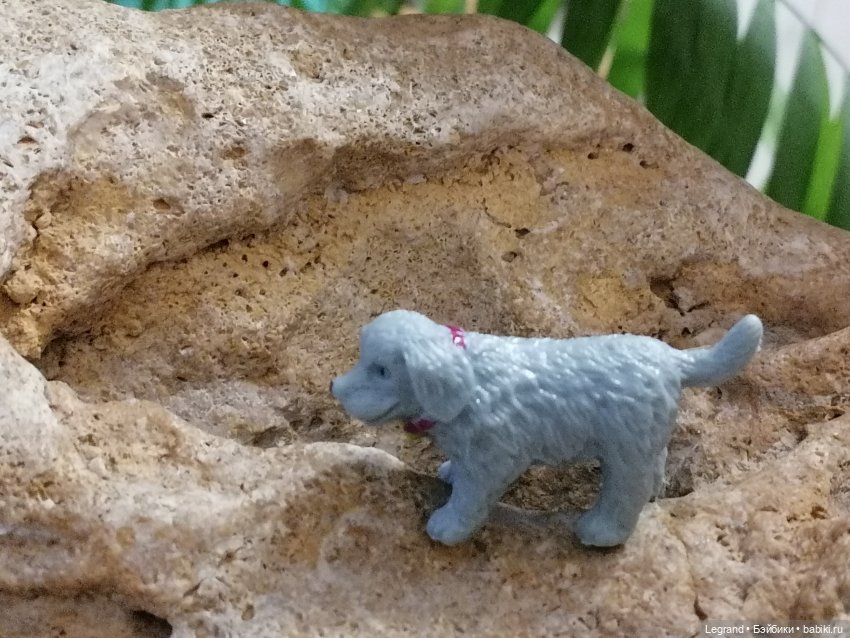 Лурения: собачки на прогулке в Верхнем саду