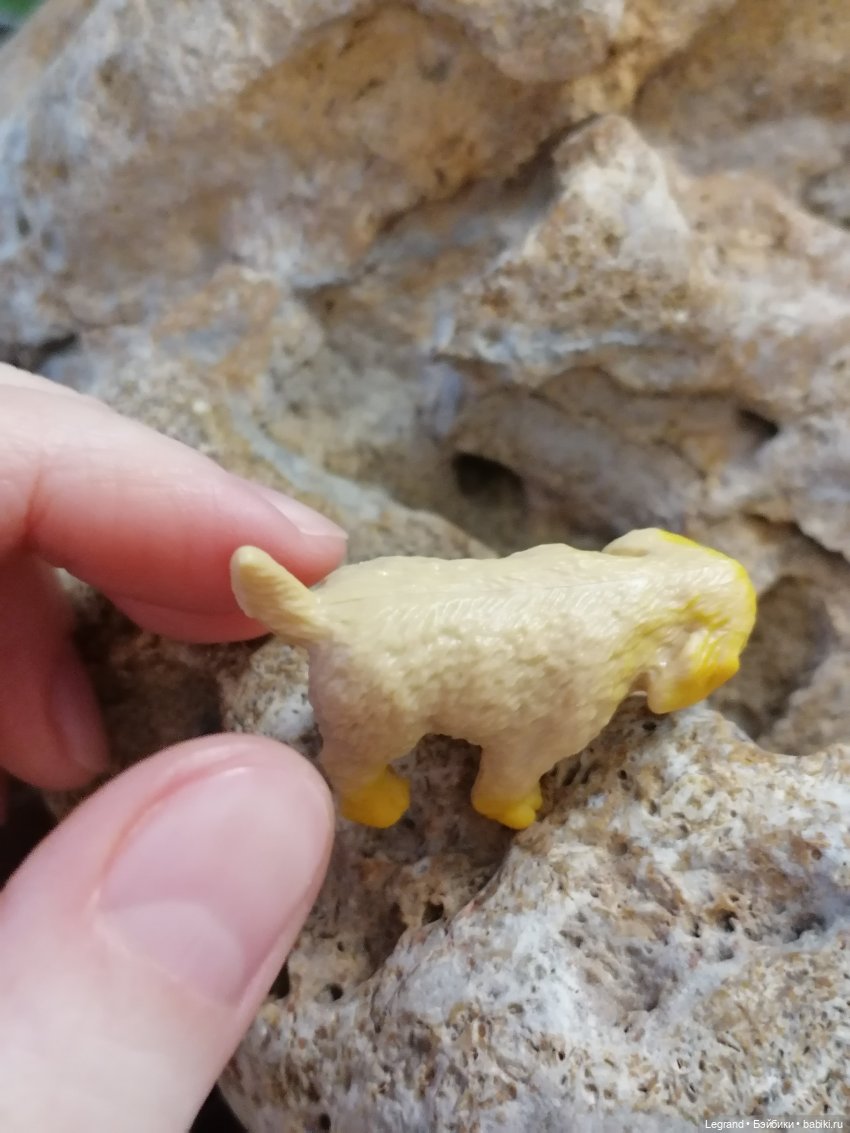 Лурения: Абрикос и Манго на прогулке🌴 (фото 4)