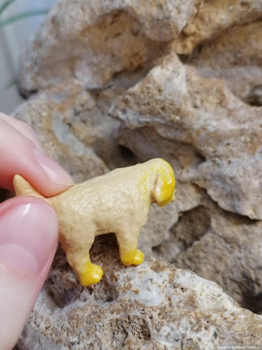 Лурения: Абрикос и Манго на прогулке🌴 (фото 6)