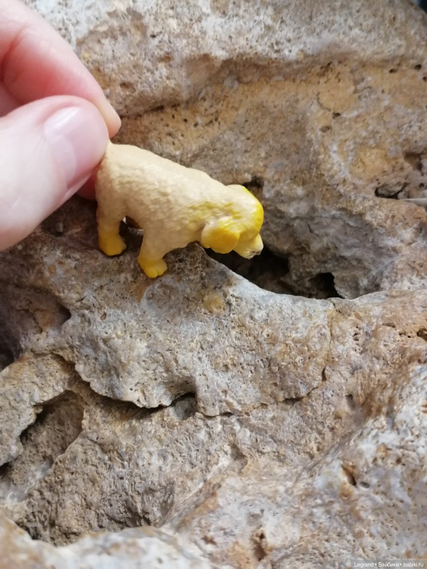 Лурения: Абрикос и Манго на прогулке🌴 (фото 2)