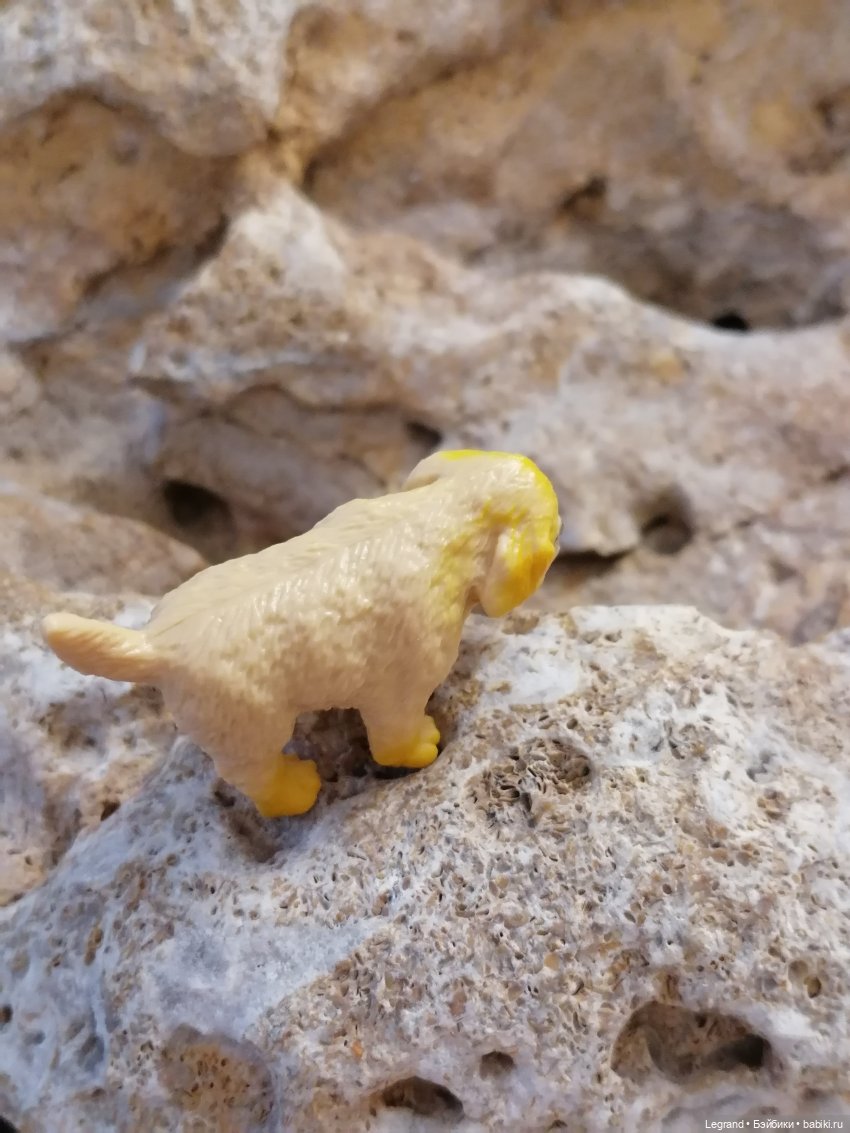 Лурения: Абрикос и Манго на прогулке🌴 (фото 7)