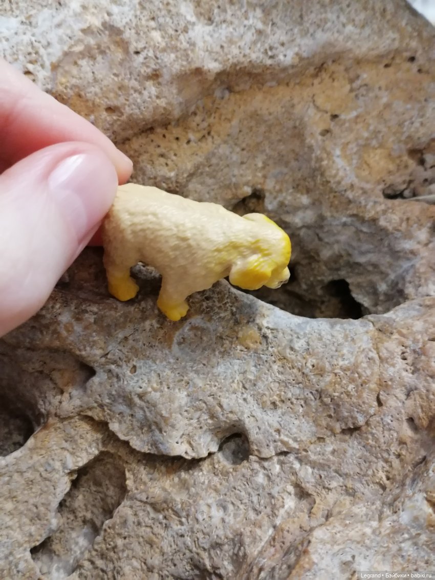 Лурения: Абрикос и Манго на прогулке🌴 (фото 5)