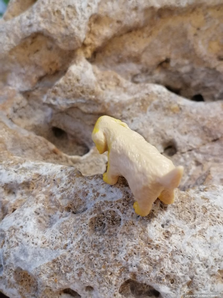 Лурения: Абрикос и Манго на прогулке🌴