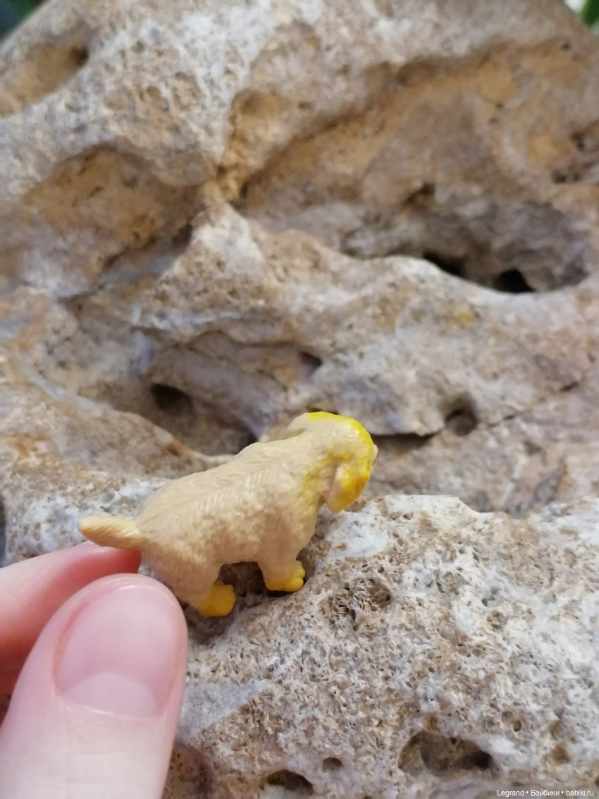 Лурения: Абрикос и Манго на прогулке🌴 (фото 3)