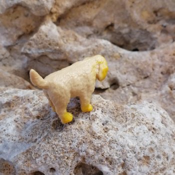 Лурения: Абрикос и Манго на прогулке🌴