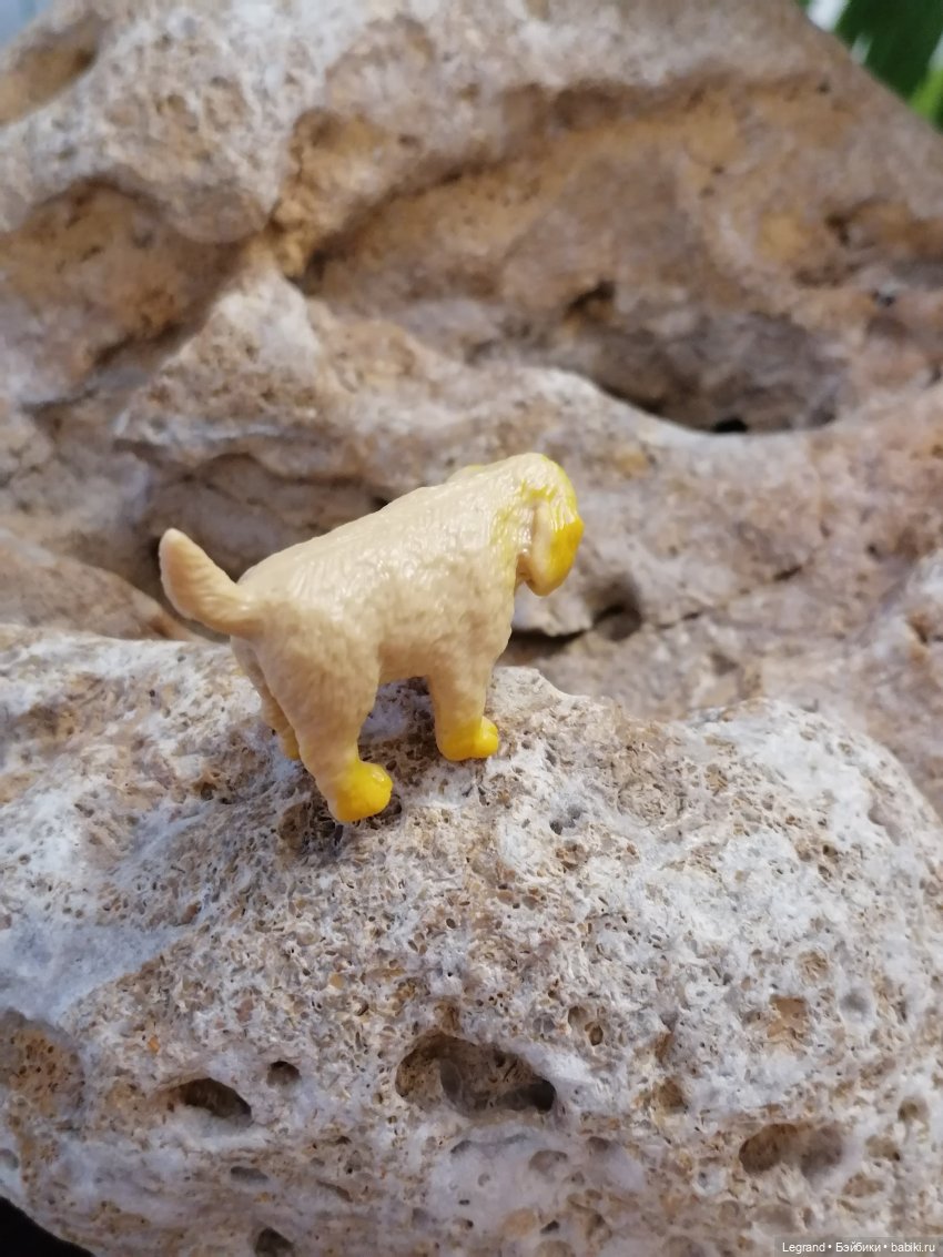 Лурения: Абрикос и Манго на прогулке🌴 (фото 8)